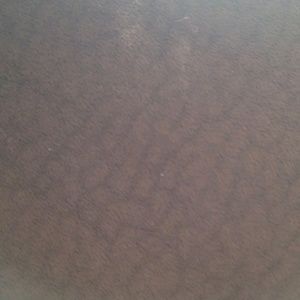 Meet your Posher, Monique